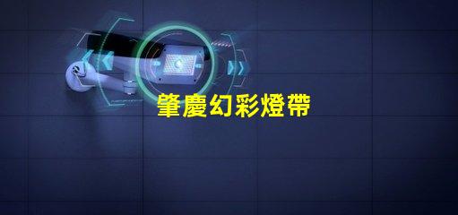 肇慶幻彩燈帶