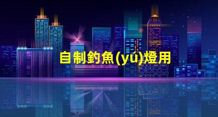 自制釣魚(yú)燈用什么燈珠好看
