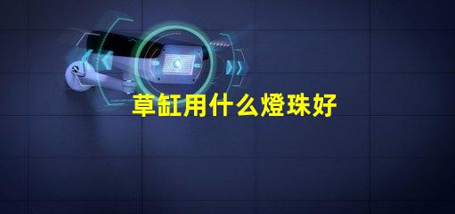 草缸用什么燈珠好