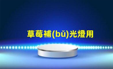 草莓補(bǔ)光燈用什么燈珠好看