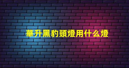華升黑豹頭燈用什么燈珠