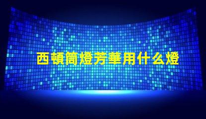 西頓筒燈芳華用什么燈珠