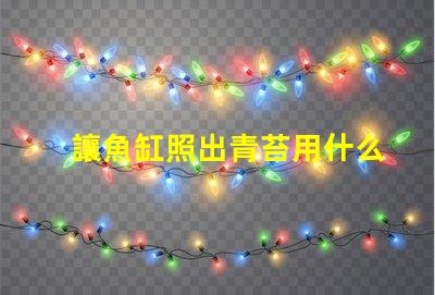 讓魚缸照出青苔用什么燈珠