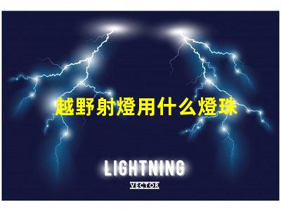 越野射燈用什么燈珠