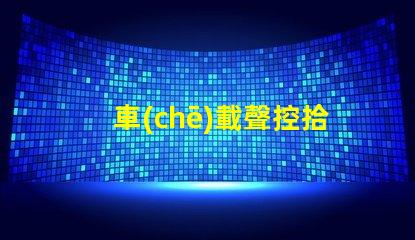 車(chē)載聲控拾音節(jié)奏燈（為車(chē)內(nèi)音樂(lè)增添舞動(dòng)燈光效果）