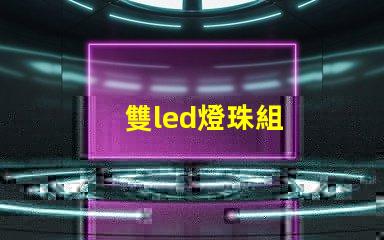 雙led燈珠組