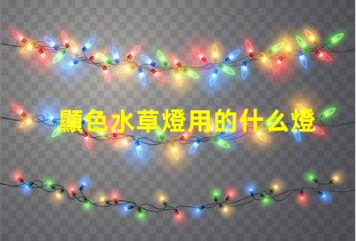 顯色水草燈用的什么燈珠