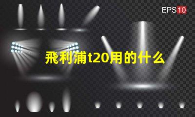 飛利浦t20用的什么燈珠