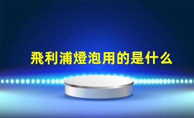 飛利浦燈泡用的是什么燈珠