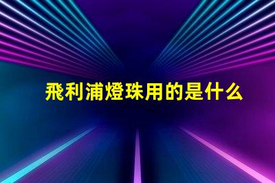 飛利浦燈珠用的是什么
