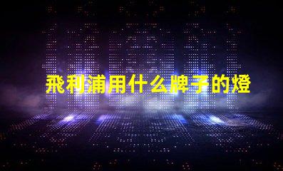 飛利浦用什么牌子的燈珠
