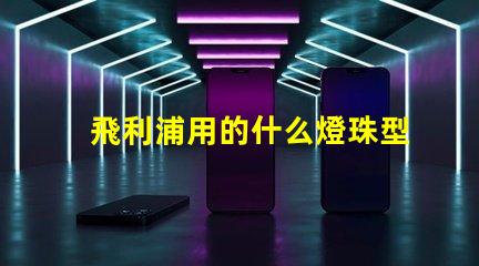 飛利浦用的什么燈珠型號(hào)