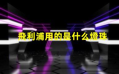 飛利浦用的是什么燈珠