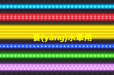 養(yǎng)水草用什么led燈珠好
