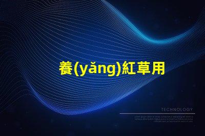 養(yǎng)紅草用什么LED燈珠