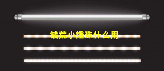 饑荒小燈珠什么用