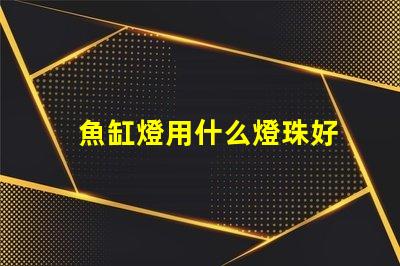 魚缸燈用什么燈珠好