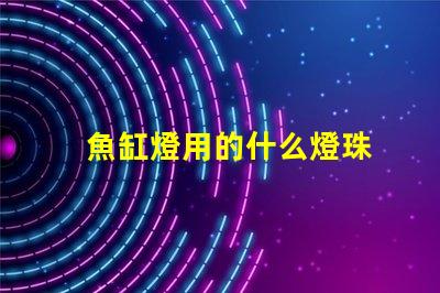 魚缸燈用的什么燈珠