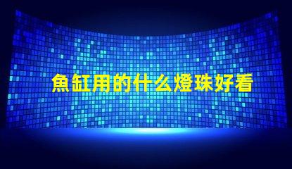 魚缸用的什么燈珠好看又亮