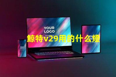鯨特v29用的什么燈珠